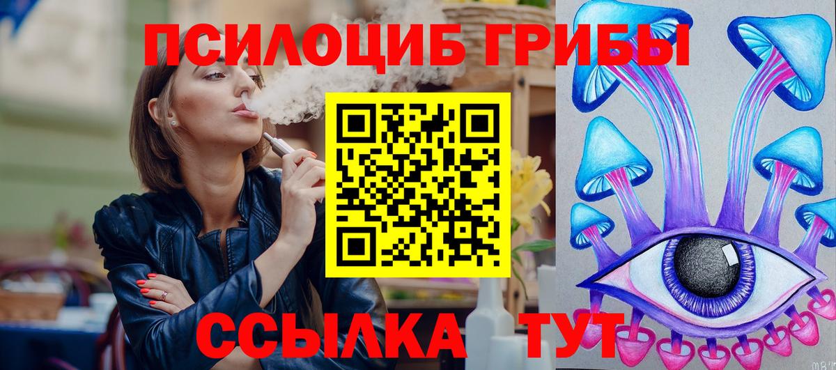Галлюциногенные грибы Psilocybine cubensis Урюпинск