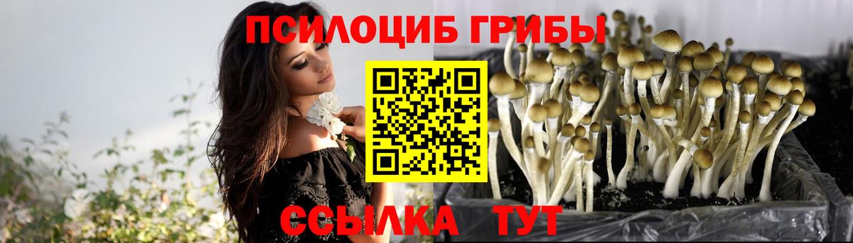 Урюпинск  цены наркотик  Вход с VPN  Псилоцибиновые грибы MAGIC MUSHROOMS 